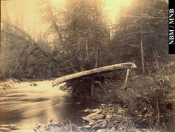 photographie