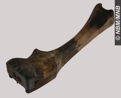 jauge � �clisses