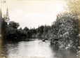 wikhikhikon