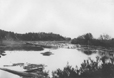wikhikhikon
