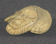 maksonal