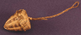 posonut