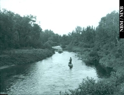 wikhikhikon