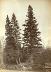 kawatukw