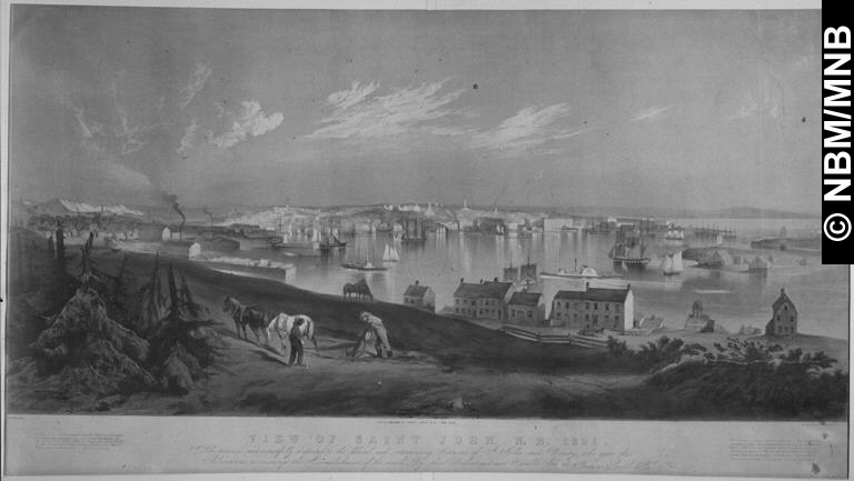 Vue de Saint John, N.-B., 1851
