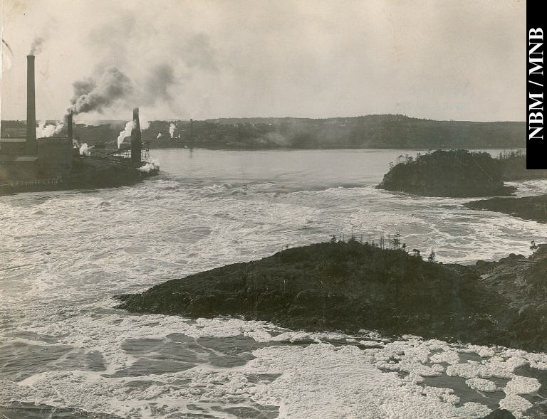 Reversing Falls and Island at Low Tide, Saint John, New Brunswick