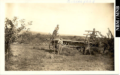 Boys at Work in the Hayfield at the Cossar Farm, Lower Gagetown, New Brunswick