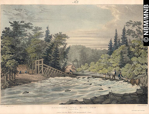 Erecting the Mill Dam, August 1834