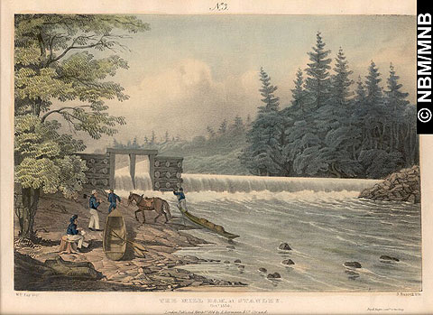 The Mill Dam at Stanley, October 1834