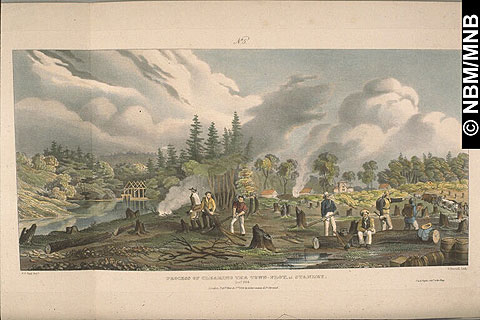 Process of Clearing the Town Plot, at Stanley, Oct. 1834