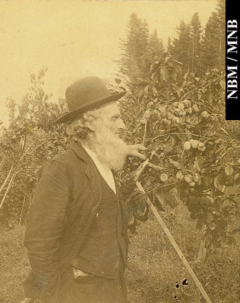 Francis Peabody Sharp in orchard with a dwarf apple tree