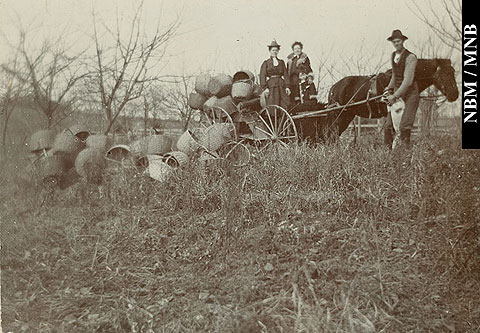 Minnie Bell Sharp et dautres personnes avec un chariot charg de paniers  pommes vides, verger de Francis Peabody Sharp, Woodstock, Nouveau-Brunswick