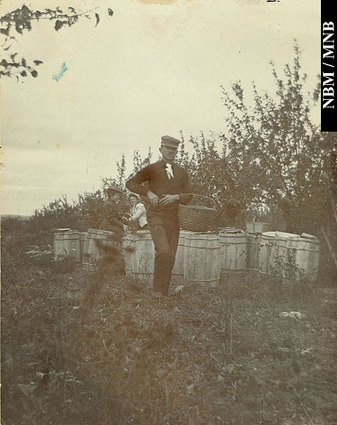 Homme non identifi et deux femmes avec des paniers et des barils  pommes dans le verger de Francis Peabody Sharp, Woodstock, Nouveau-Brunswick