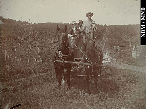 Minnie Bell Sharp et des ouvriers debout dans un chariot dans le verger de Francis Peabody Sharp, Woodstock, Nouveau-Brunswick