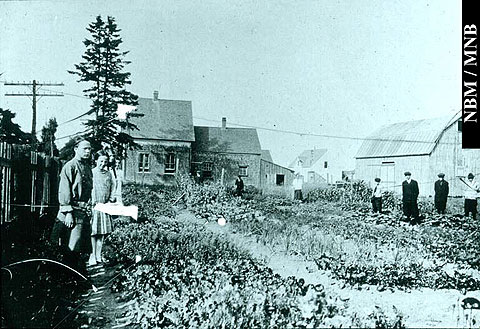 Students in a School Garden