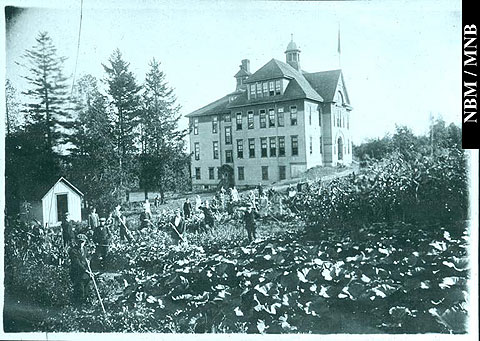 Students Working in the MacDonald Consolidated School Garden, Kingston, New Brunswick