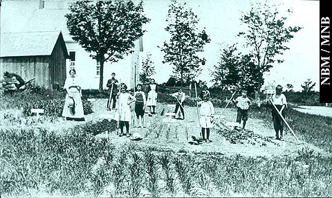 Students and Teacher Working in a School Garden