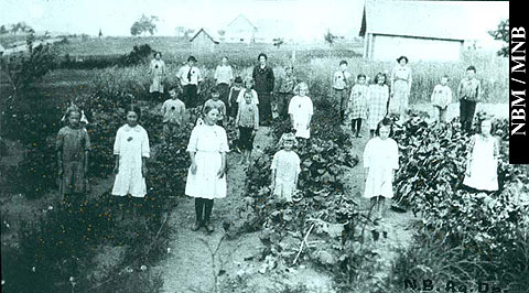 lves dans le potager dune cole