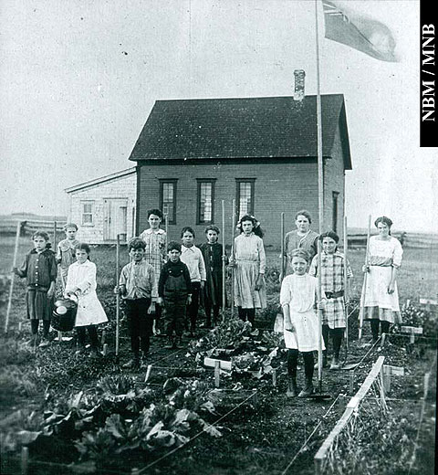 Students in a School Garden