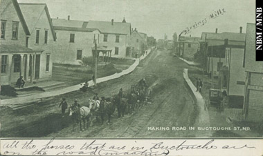 Des attelages de chevaux sur un chantier de construction routire, Bouctouche, comt de Kent, Nouveau-Brunswick