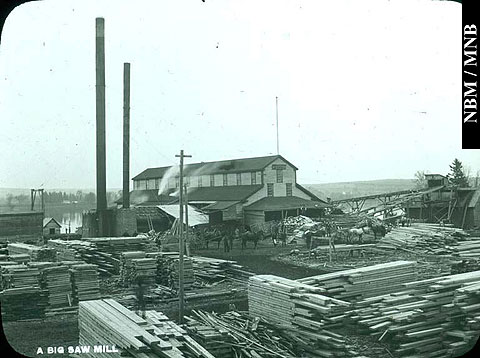 A Big Saw Mill, Lumbering, New Brunswick