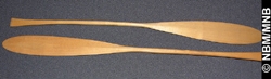 paddle model