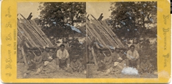 stereograph