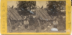 wikhikhikon, 1875-1878