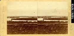 stereograph