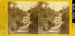 stereograph