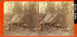 stereograph