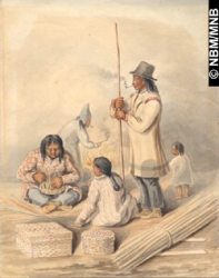 wikhikhikon, c. / v. 1845