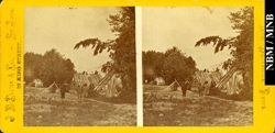 stereograph