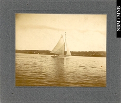 photograph