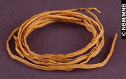 spruce root bundle
