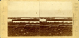 stereograph