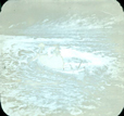 wikhikhikon