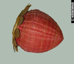 posonut