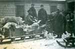 une chasse au caribou