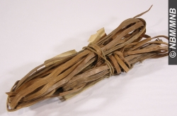 spruce root bundle