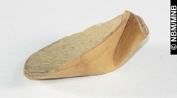 spoon model
