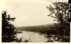 photograph