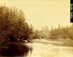 photograph