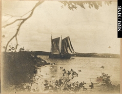 photograph