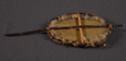fur stretcher model