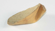 spoon model