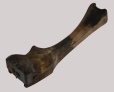 splint gauge