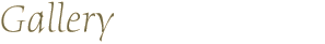 Gallery