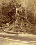 Beaver Lodge