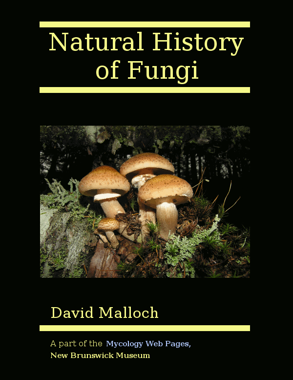 Natural History of Fungi book-cover